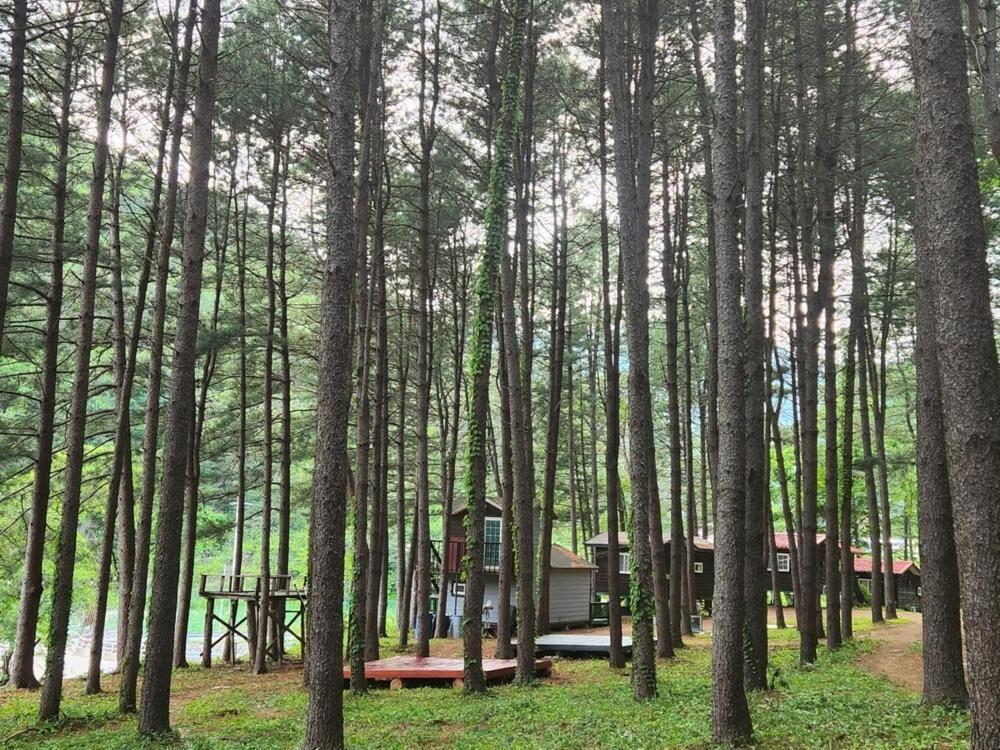 Hongcheon Gongjaksan Recreational Forest Pension Kültér fotó