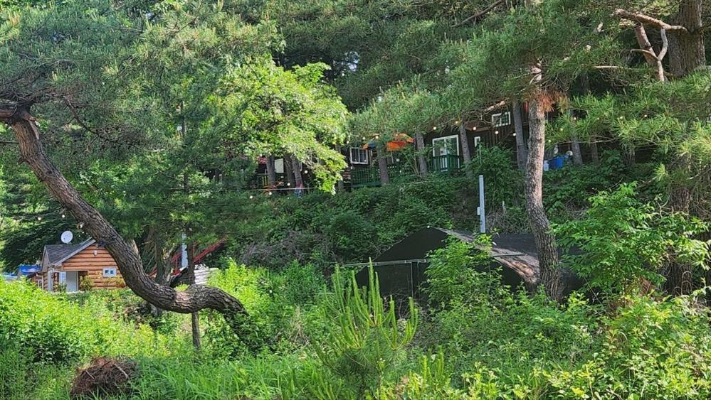 Hongcheon Gongjaksan Recreational Forest Pension Kültér fotó